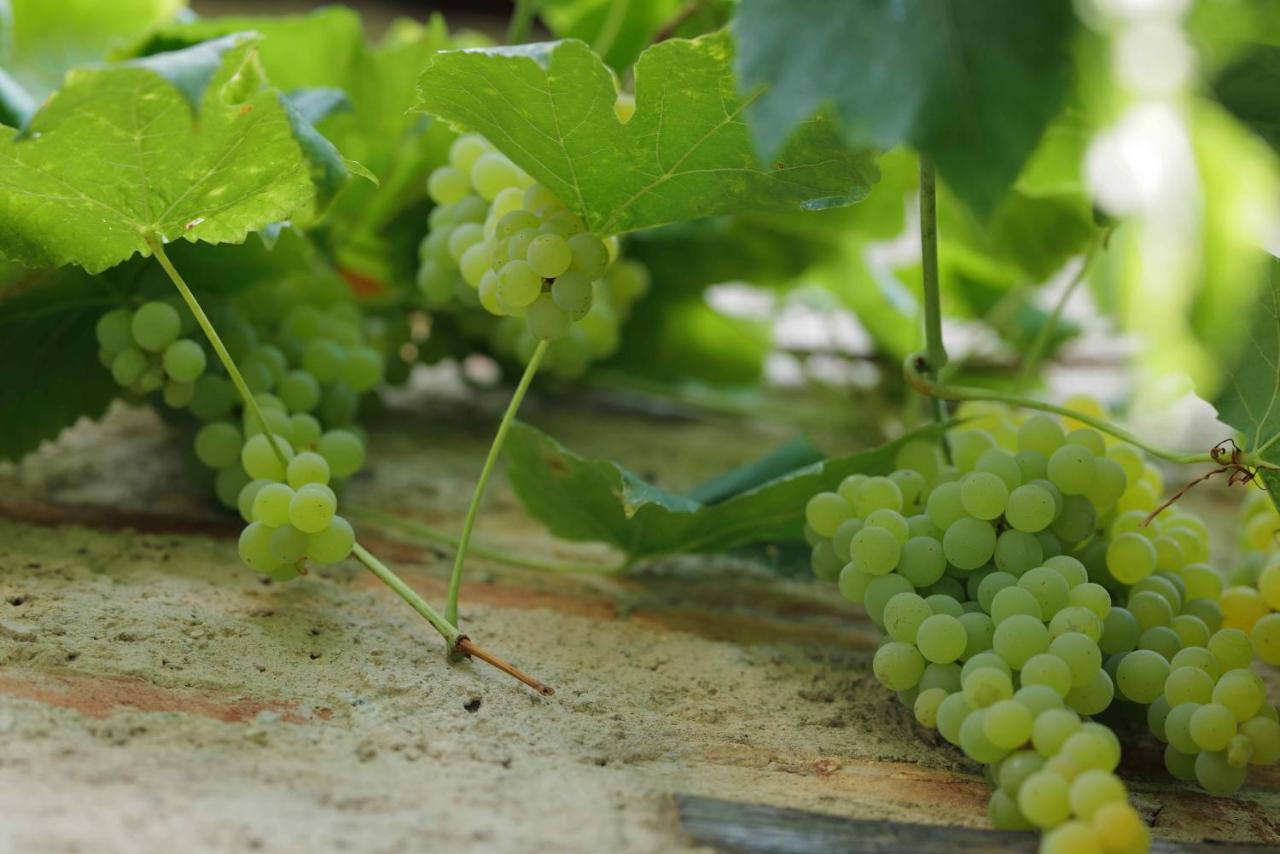 Oggiono B&B Cascina La Cinciallegra المظهر الخارجي الصورة